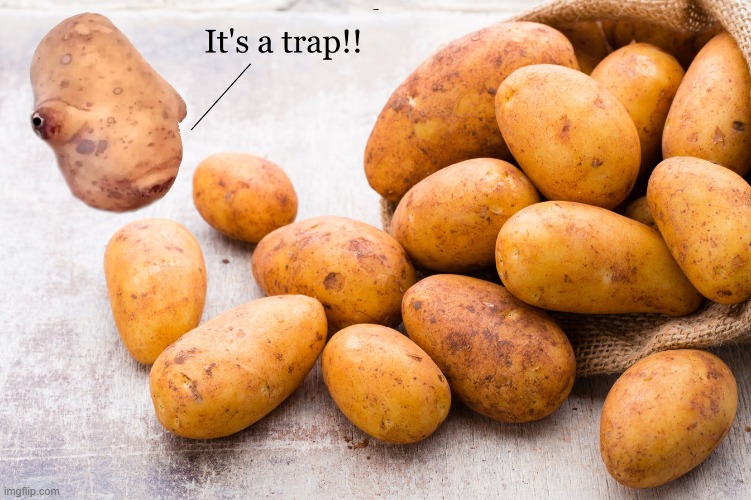 it's a trap | IT'S A TRAP! | image tagged in potatoes,star wars | made w/ Imgflip meme maker