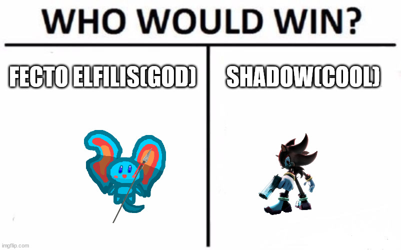 Who Would Win? Meme | FECTO ELFILIS(GOD) SHADOW(COOL) | image tagged in memes,who would win | made w/ Imgflip meme maker