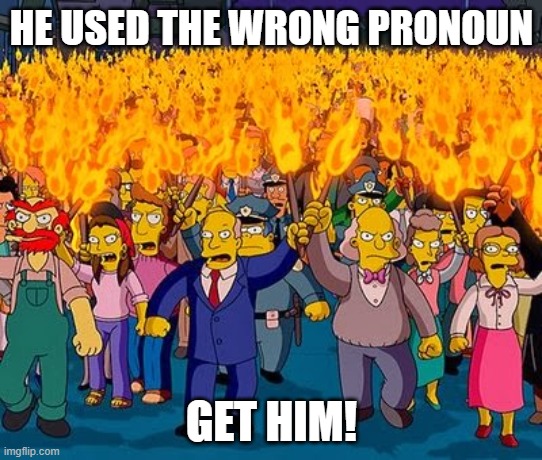 Lynch Mob | HE USED THE WRONG PRONOUN GET HIM! | image tagged in lynch mob | made w/ Imgflip meme maker