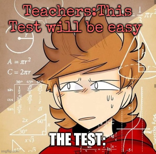 Relatable 3# | Teachers:This Test will be easy; THE TEST: | image tagged in tord calculating | made w/ Imgflip meme maker