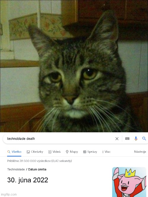 Rest In Peace Technoblade. | image tagged in memes,depressed cat,technoblade | made w/ Imgflip meme maker