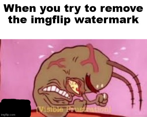 Visible Frustration | When you try to remove the imgflip watermark | image tagged in visible frustration | made w/ Imgflip meme maker