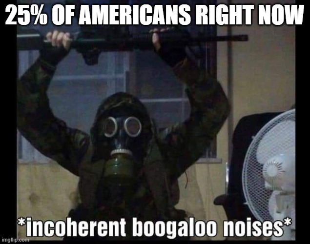 25 boogaloo | 25% OF AMERICANS RIGHT NOW | image tagged in boogaloo,americans,guns,government | made w/ Imgflip meme maker