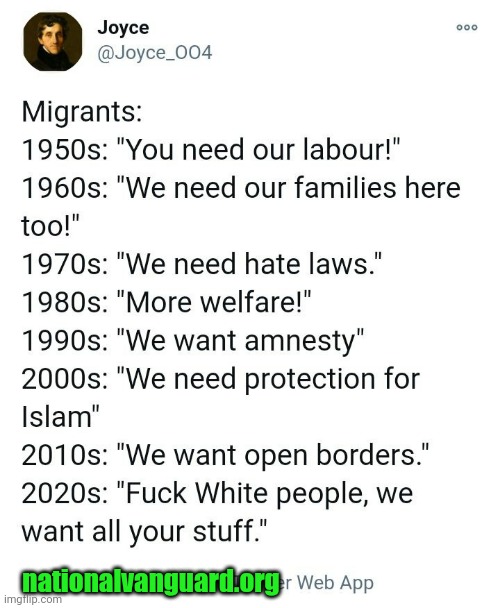 Non-Whites against Whites | nationalvanguard.org | image tagged in non-whites against whites | made w/ Imgflip meme maker