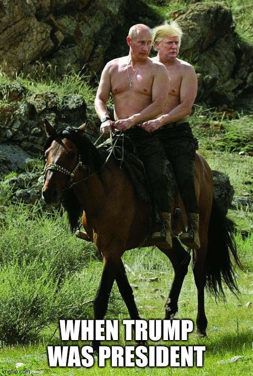 Donald Trump Vladamir Putin | WHEN TRUMP WAS PRESIDENT | image tagged in donald trump vladamir putin | made w/ Imgflip meme maker