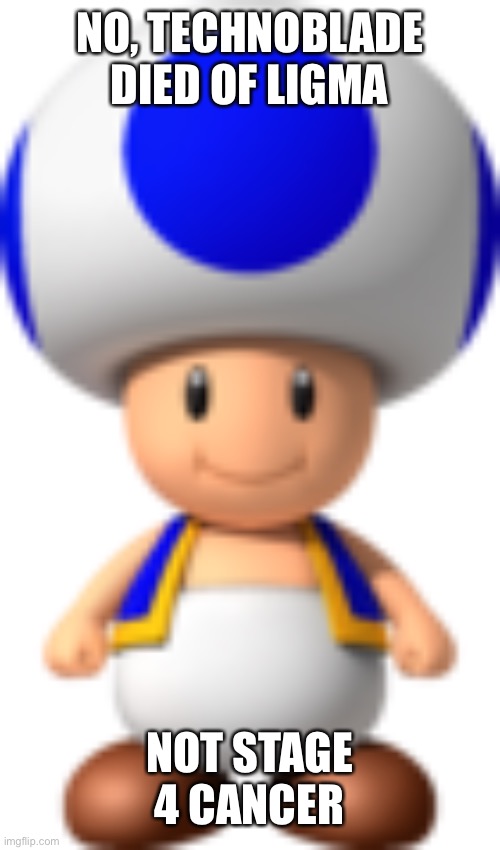 Toad | NO, TECHNOBLADE DIED OF LIGMA; NOT STAGE 4 CANCER | image tagged in toad | made w/ Imgflip meme maker