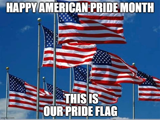 Pride Month | HAPPY AMERICAN PRIDE MONTH; THIS IS OUR PRIDE FLAG | image tagged in pride month | made w/ Imgflip meme maker