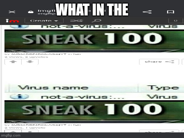 Irdk | WHAT IN THE | image tagged in what | made w/ Imgflip meme maker
