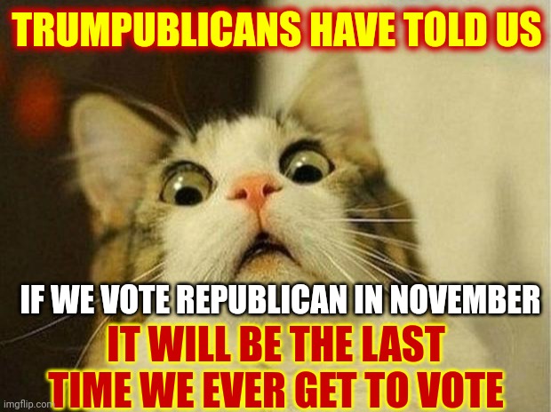 You Should Believe Nazis When They Tell You They're Going To Destroy Your Country | TRUMPUBLICANS HAVE TOLD US; IT WILL BE THE LAST TIME WE EVER GET TO VOTE; IF WE VOTE REPUBLICAN IN NOVEMBER | image tagged in memes,scared cat,nazis,american nazis,trumpublican terrorists,civil rights | made w/ Imgflip meme maker