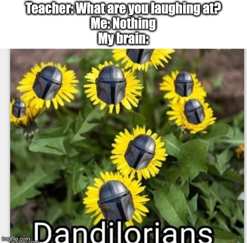 Hehe | Teacher: What are you laughing at?
Me: Nothing
My brain: | image tagged in the mandalorian,plants | made w/ Imgflip meme maker