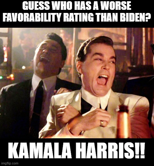 Worse than Biden | GUESS WHO HAS A WORSE FAVORABILITY RATING THAN BIDEN? KAMALA HARRIS!! | image tagged in memes,good fellas hilarious | made w/ Imgflip meme maker