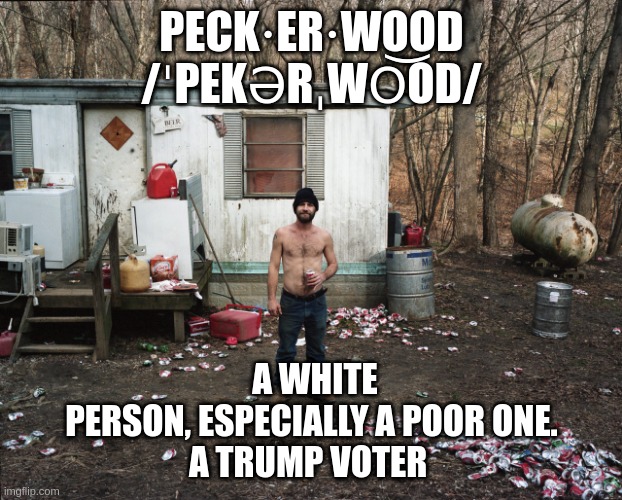 Peckerwood | PECK·ER·WOOD

/ˈPEKƏRˌWO͝OD/; A WHITE PERSON, ESPECIALLY A POOR ONE.

A TRUMP VOTER | image tagged in trailer trash | made w/ Imgflip meme maker