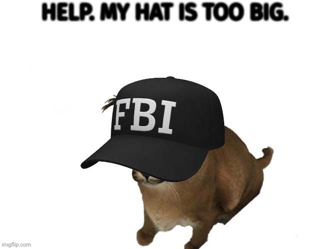 HELP. MY HAT IS TOO BIG. | made w/ Imgflip meme maker