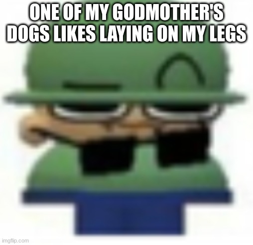 Brobgonal Eyebrow raise | ONE OF MY GODMOTHER'S DOGS LIKES LAYING ON MY LEGS | image tagged in brobgonal eyebrow raise | made w/ Imgflip meme maker