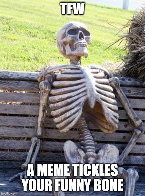 Funny Bone | TFW; A MEME TICKLES YOUR FUNNY BONE | image tagged in memes,waiting skeleton,funny,lol | made w/ Imgflip meme maker