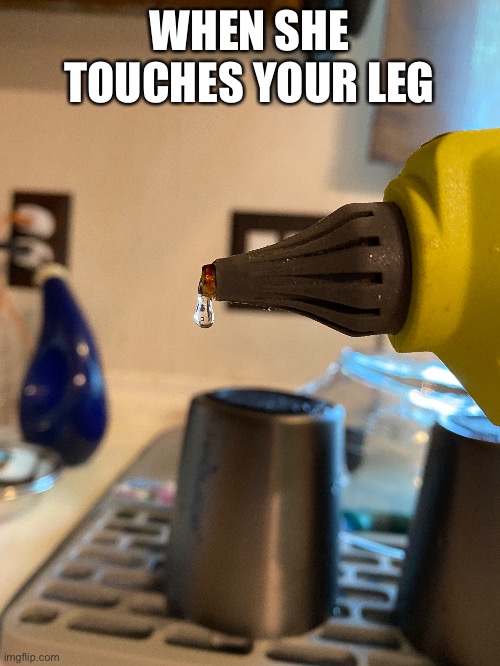 WHEN SHE TOUCHES YOUR LEG | image tagged in when you see it | made w/ Imgflip meme maker