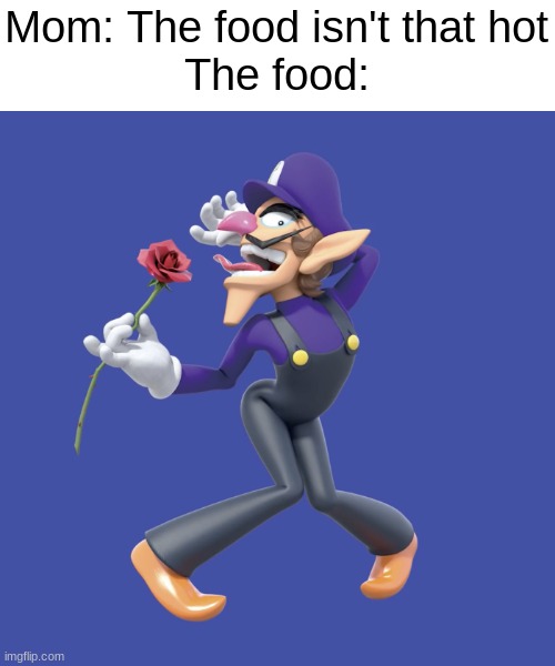 . | Mom: The food isn't that hot
The food: | made w/ Imgflip meme maker