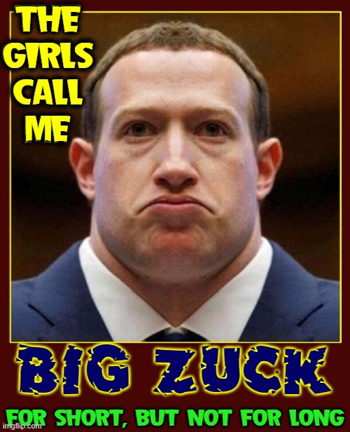 Be Careful: When poking fun at filthy rich androids | THE
GIRLS
CALL
ME; BIG ZUCK; FOR SHORT, BUT NOT FOR LONG | image tagged in vince vance,facebook,mark zuckerberg,memes,reality,lost | made w/ Imgflip meme maker