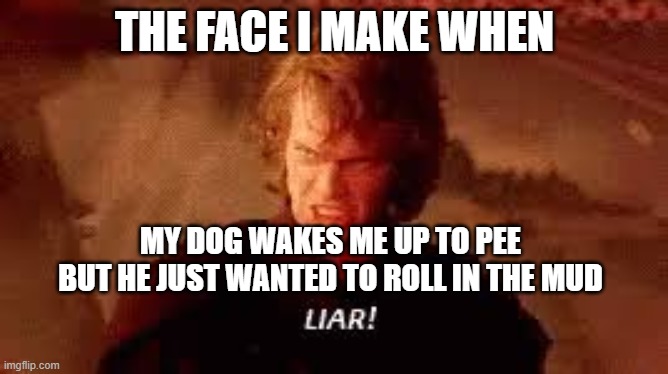 the dog is a liar | THE FACE I MAKE WHEN; MY DOG WAKES ME UP TO PEE BUT HE JUST WANTED TO ROLL IN THE MUD | image tagged in anakin liar,fake news,wrong context | made w/ Imgflip meme maker