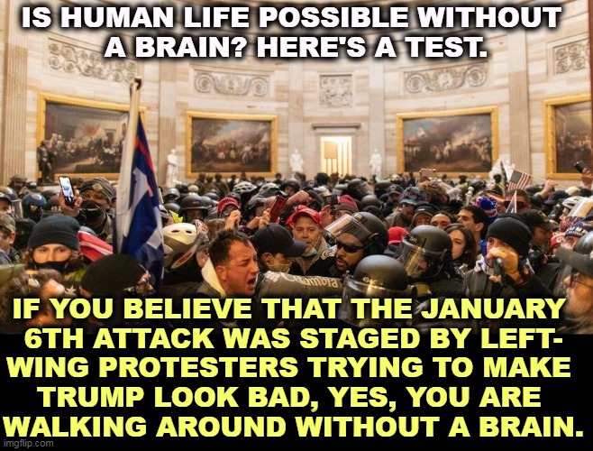 Question | IS HUMAN LIFE POSSIBLE WITHOUT 
A BRAIN? HERE'S A TEST. IF YOU BELIEVE THAT THE JANUARY 

6TH ATTACK WAS STAGED BY LEFT-
WING PROTESTERS TRYING TO MAKE 
TRUMP LOOK BAD, YES, YOU ARE 
WALKING AROUND WITHOUT A BRAIN. | image tagged in capitol protestors,riot,right wing,morons | made w/ Imgflip meme maker