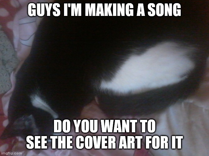 Kitten temp | GUYS I'M MAKING A SONG; DO YOU WANT TO SEE THE COVER ART FOR IT | image tagged in kitten temp | made w/ Imgflip meme maker