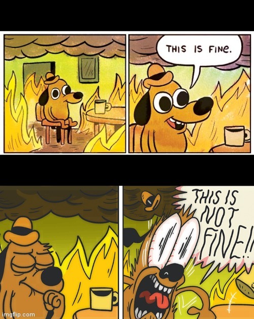 THIS IS NOT FINE | image tagged in this is fine | made w/ Imgflip meme maker