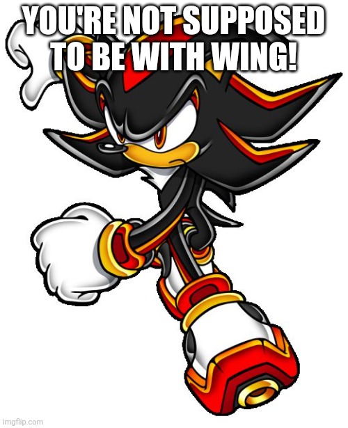 Shadow the hedgehog | YOU'RE NOT SUPPOSED TO BE WITH WING! | image tagged in shadow the hedgehog | made w/ Imgflip meme maker