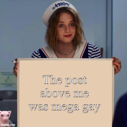 Idk why i wrote this.. i was bored.... | The post above me was mega gay | image tagged in robin stranger things meme | made w/ Imgflip meme maker