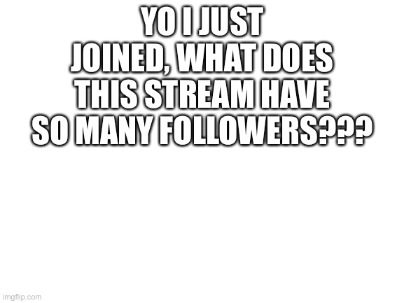 Also what's with "fun" having infinity followers? | YO I JUST JOINED, WHAT DOES THIS STREAM HAVE SO MANY FOLLOWERS??? | image tagged in blank white template | made w/ Imgflip meme maker