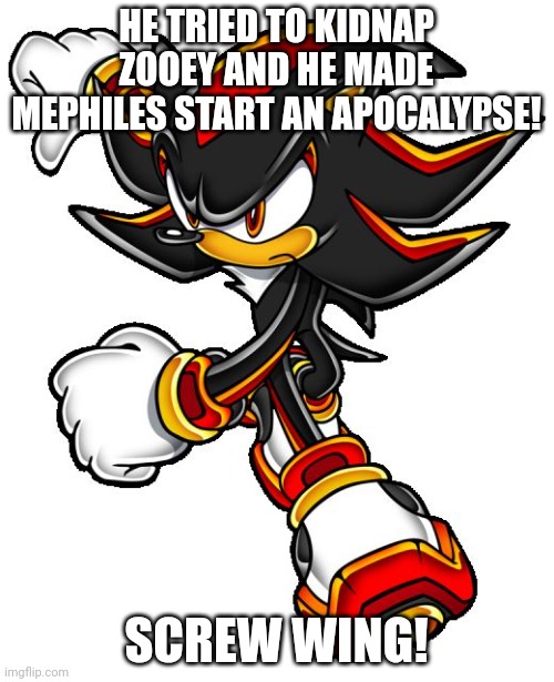 Shadow the hedgehog | HE TRIED TO KIDNAP ZOOEY AND HE MADE MEPHILES START AN APOCALYPSE! SCREW WING! | image tagged in shadow the hedgehog | made w/ Imgflip meme maker