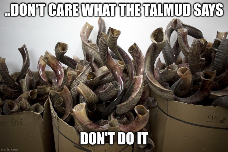 Don't do it. | ..DON'T CARE WHAT THE TALMUD SAYS; DON'T DO IT | made w/ Imgflip meme maker