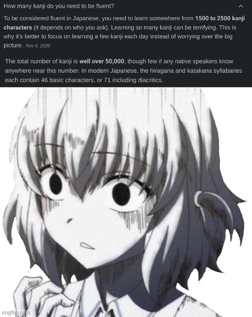 *sobs in i also wanna learn coding, idonesian, and a whole of other stuff that is gonna require a shitton of memory space* | image tagged in terrified anime girl | made w/ Imgflip meme maker