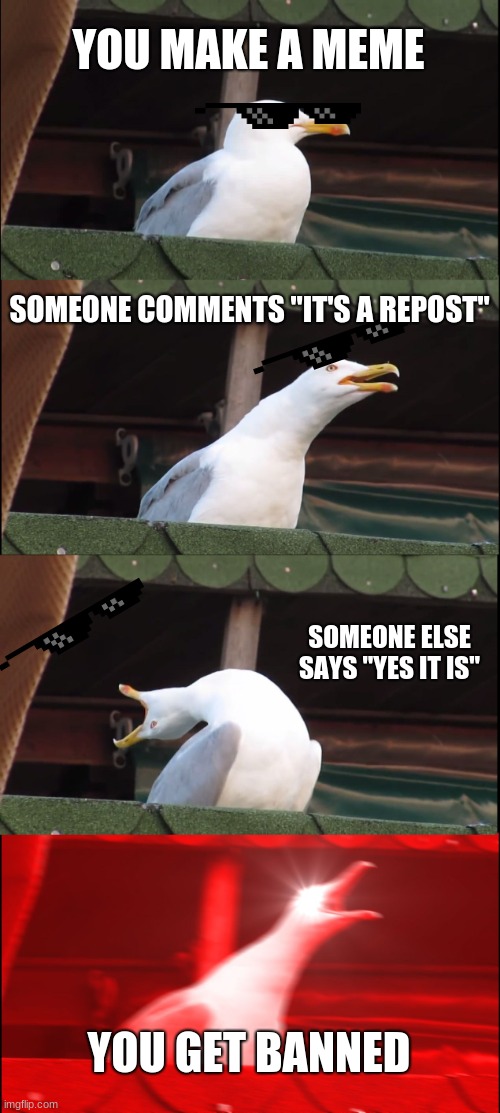 uh |  YOU MAKE A MEME; SOMEONE COMMENTS "IT'S A REPOST"; SOMEONE ELSE SAYS "YES IT IS"; YOU GET BANNED | image tagged in memes,inhaling seagull | made w/ Imgflip meme maker