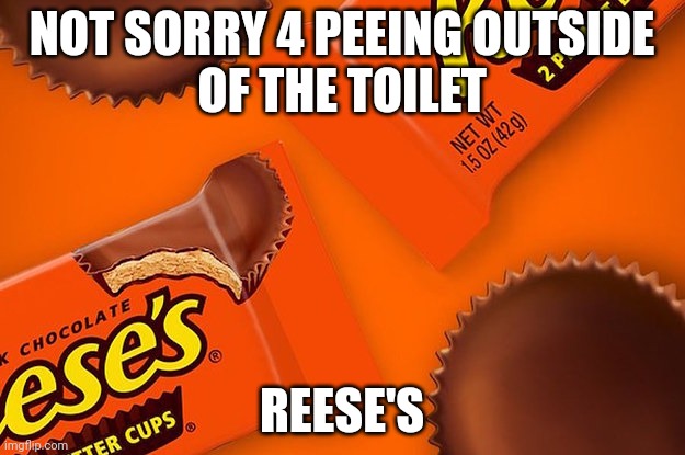 NOT SORRY | NOT SORRY 4 PEEING OUTSIDE
OF THE TOILET; REESE'S | image tagged in reese's cup | made w/ Imgflip meme maker