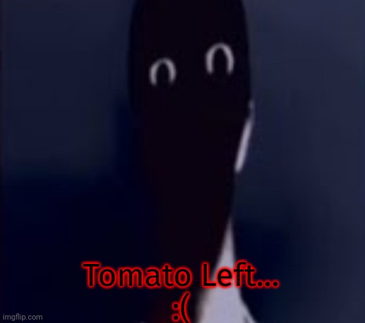 ŢHƏ ĀŁŢƏŘÑĀŢƏ | Tomato Left...
:( | image tagged in h | made w/ Imgflip meme maker
