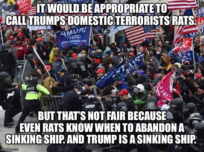 Cop-killer MAGA right wing Capitol Riot January 6th | IT WOULD BE APPROPRIATE TO CALL TRUMPS DOMESTIC TERRORISTS RATS. BUT THAT’S NOT FAIR BECAUSE EVEN RATS KNOW WHEN TO ABANDON A SINKING SHIP. AND TRUMP IS A SINKING SHIP. | image tagged in cop-killer maga right wing capitol riot january 6th | made w/ Imgflip meme maker