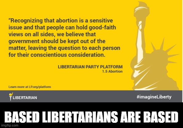 Conservative Libertarians are not the same as Libertarians. | BASED LIBERTARIANS ARE BASED | image tagged in we are not the same,separate church and state,christofascism,second inquisition,abortion inquisition,southern abortion trials | made w/ Imgflip meme maker