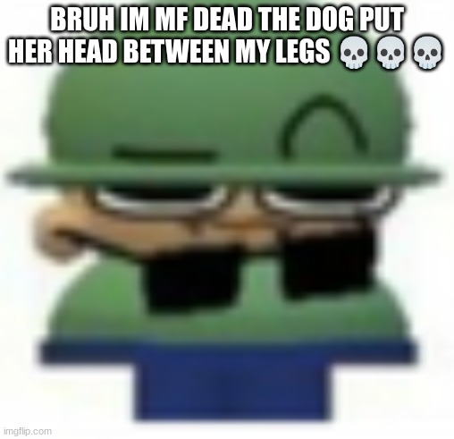 Brobgonal Eyebrow raise | BRUH IM MF DEAD THE DOG PUT HER HEAD BETWEEN MY LEGS 💀💀💀 | image tagged in brobgonal eyebrow raise | made w/ Imgflip meme maker