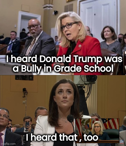 I heard Donald Trump was
a Bully in Grade School I heard that , too | made w/ Imgflip meme maker