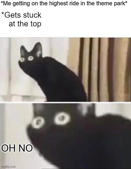 Warning: Extreme Fear Imminent |  *Me getting on the highest ride in the theme park*; *Gets stuck at the top; OH NO | image tagged in oh no black cat,theme park,memes,scary,roller coaster | made w/ Imgflip meme maker