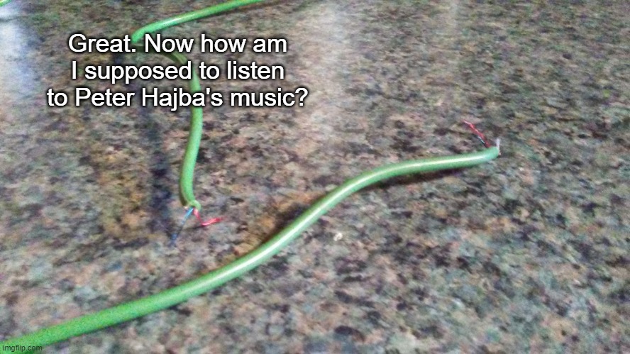 Now what? | Great. Now how am I supposed to listen to Peter Hajba's music? | image tagged in broken headphones | made w/ Imgflip meme maker