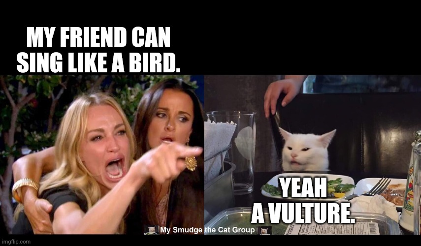 MY FRIEND CAN SING LIKE A BIRD. YEAH A VULTURE. | image tagged in smudge the cat | made w/ Imgflip meme maker