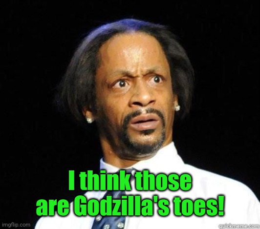 Katt Williams WTF Meme | I think those are Godzilla's toes! | image tagged in katt williams wtf meme | made w/ Imgflip meme maker