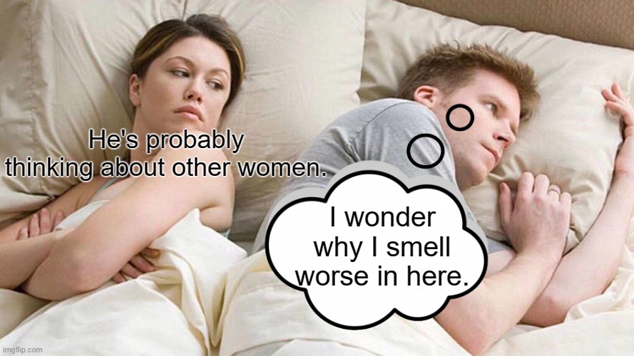 R.I.P. Woman | He's probably thinking about other women. I wonder why I smell worse in here. | image tagged in distracted boyfriend,cheating husband,men cheating | made w/ Imgflip meme maker