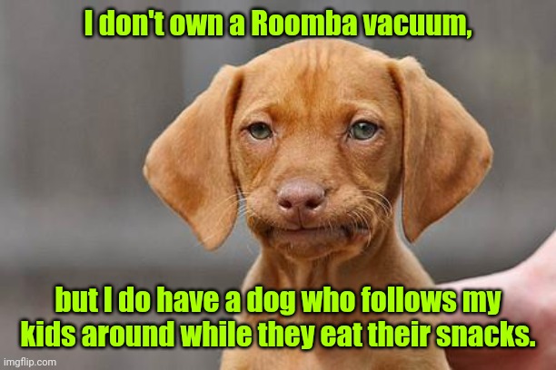 Dog sitting for my brother-in-law. | I don't own a Roomba vacuum, but I do have a dog who follows my kids around while they eat their snacks. | image tagged in dissapointed puppy,funny | made w/ Imgflip meme maker