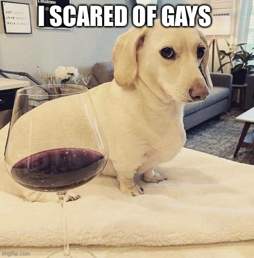 Homophobic Dog | I SCARED OF GAYS | image tagged in homophobic dog | made w/ Imgflip meme maker