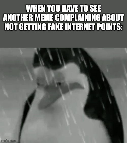 I don't give two shits about fake internet points and being a whiner won't frickin work | WHEN YOU HAVE TO SEE ANOTHER MEME COMPLAINING ABOUT NOT GETTING FAKE INTERNET POINTS: | image tagged in sadge,memes,relatable,upvote begging | made w/ Imgflip meme maker