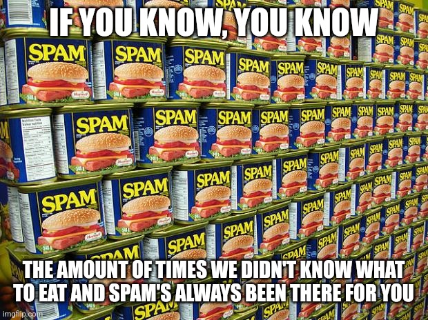 Spam, Delicous | IF YOU KNOW, YOU KNOW; THE AMOUNT OF TIMES WE DIDN'T KNOW WHAT TO EAT AND SPAM'S ALWAYS BEEN THERE FOR YOU | image tagged in spam delicous,spam,lame meme | made w/ Imgflip meme maker