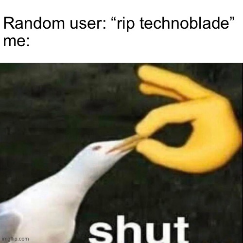 It’s really annoying, like nobody cares. | Random user: “rip technoblade”
me: | image tagged in shut,memes | made w/ Imgflip meme maker