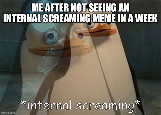 Image title | ME AFTER NOT SEEING AN INTERNAL SCREAMING MEME IN A WEEK | image tagged in private internal screaming | made w/ Imgflip meme maker